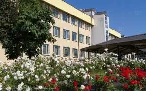 Torino Üniversitesi