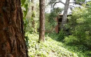 Diablo Valley College