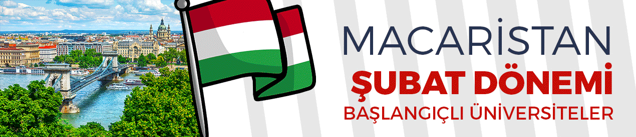 Macaristan'da üniversite