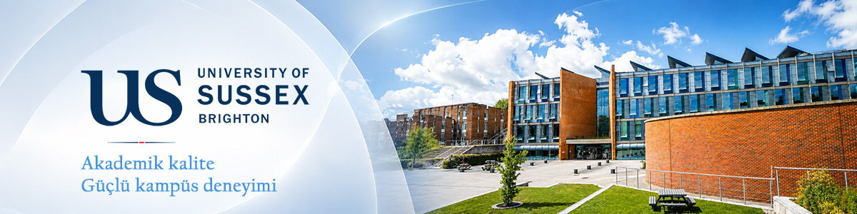Sussex Üniversitesi